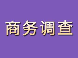 永定商务调查